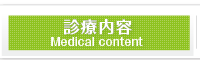 診療内容 Medical content